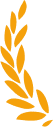 corner img
