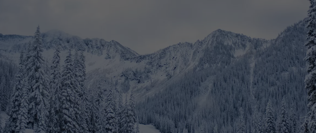 temperature banner